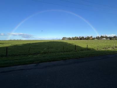 Somewhere under the Rainbow; Who got the Pot of Gold on Saturday